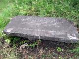 image of grave number 561972